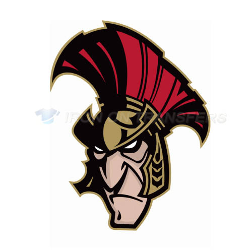 Binghamton Senators Iron-on Stickers (Heat Transfers)NO.8979